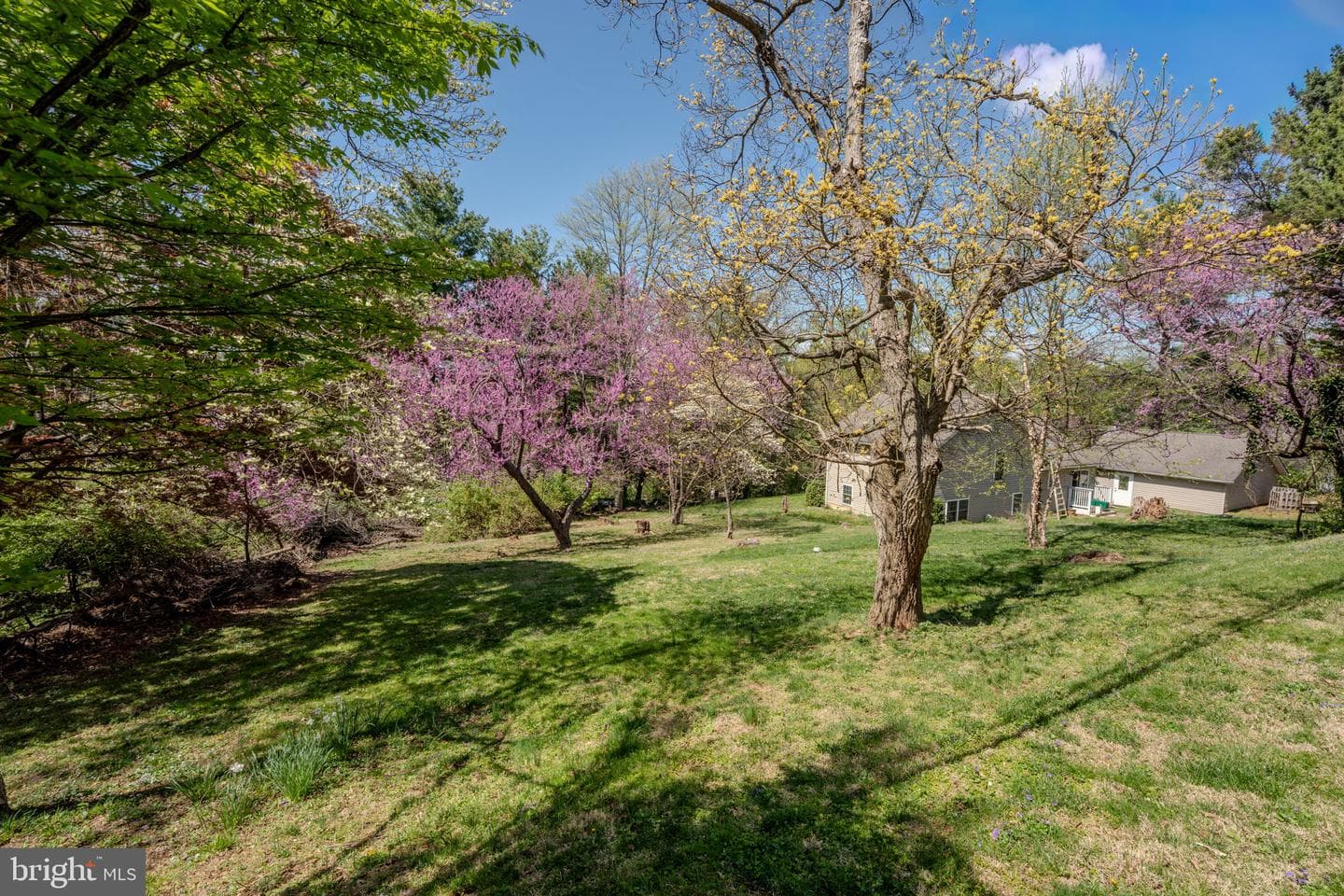 22 Fitzhugh Avenue photo 42