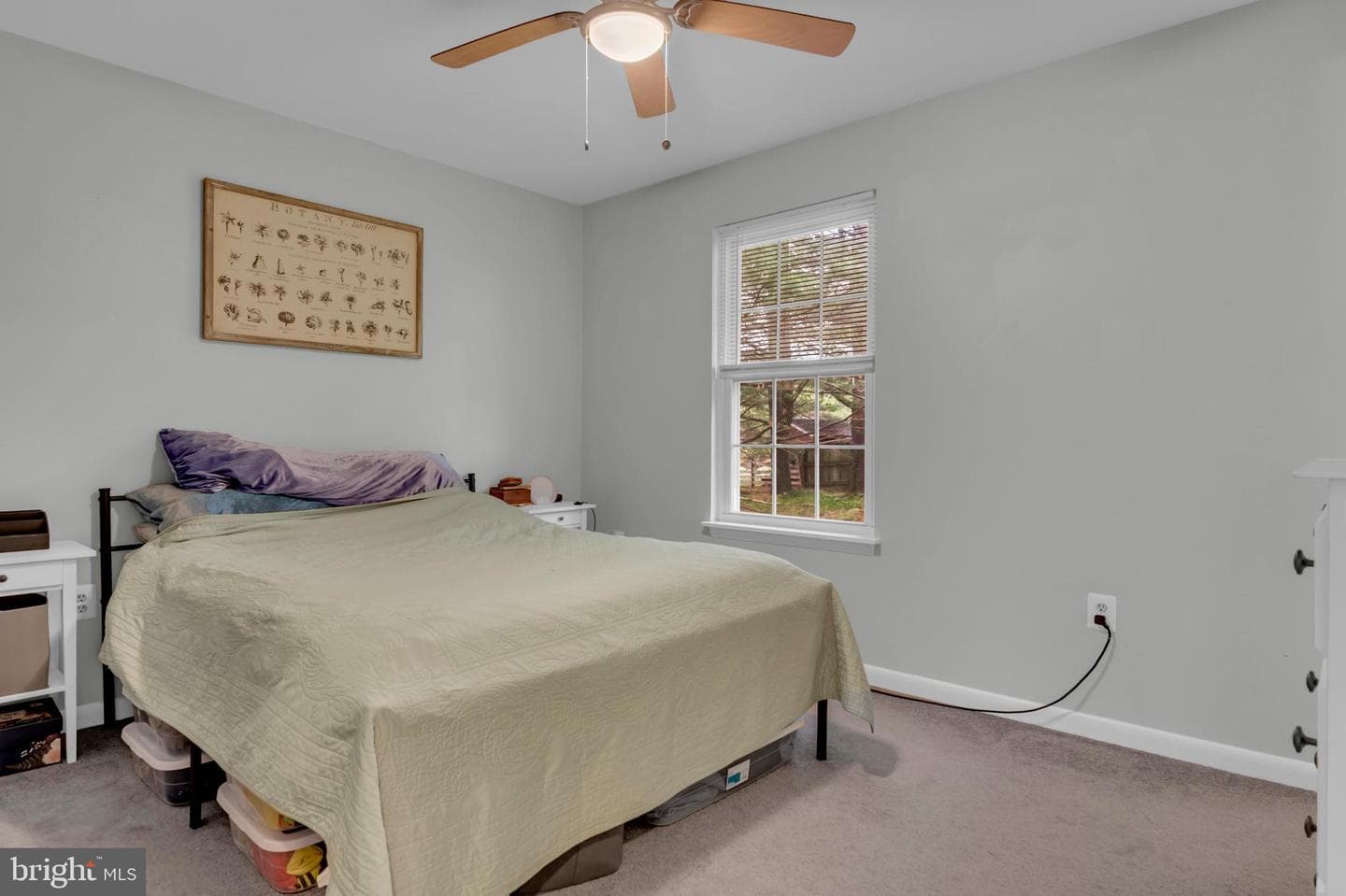7128 Macbeth Way photo 20