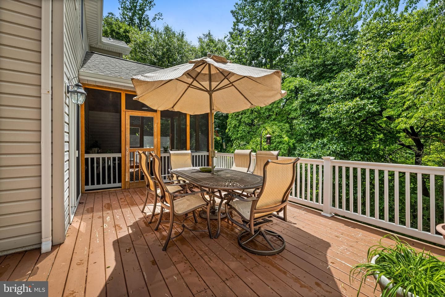 712 Lythe Hill Court photo 31
