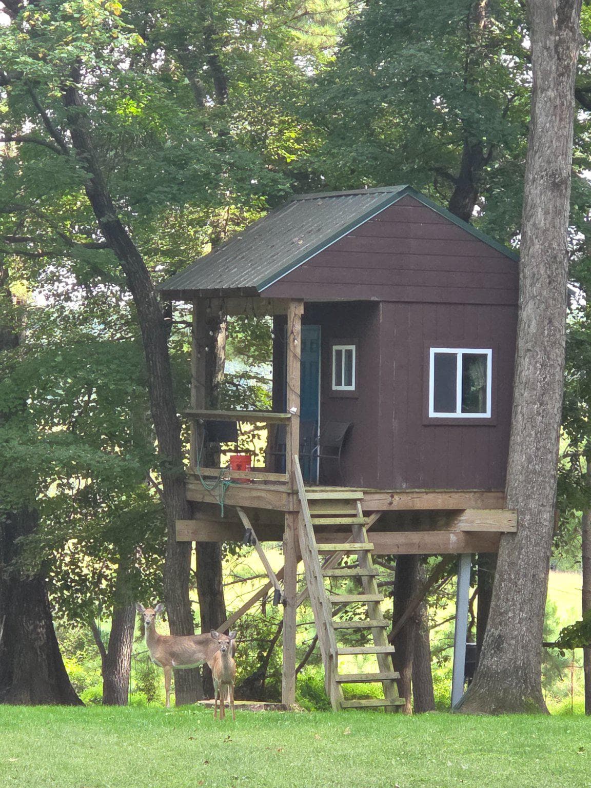 151 Martz Road photo 65