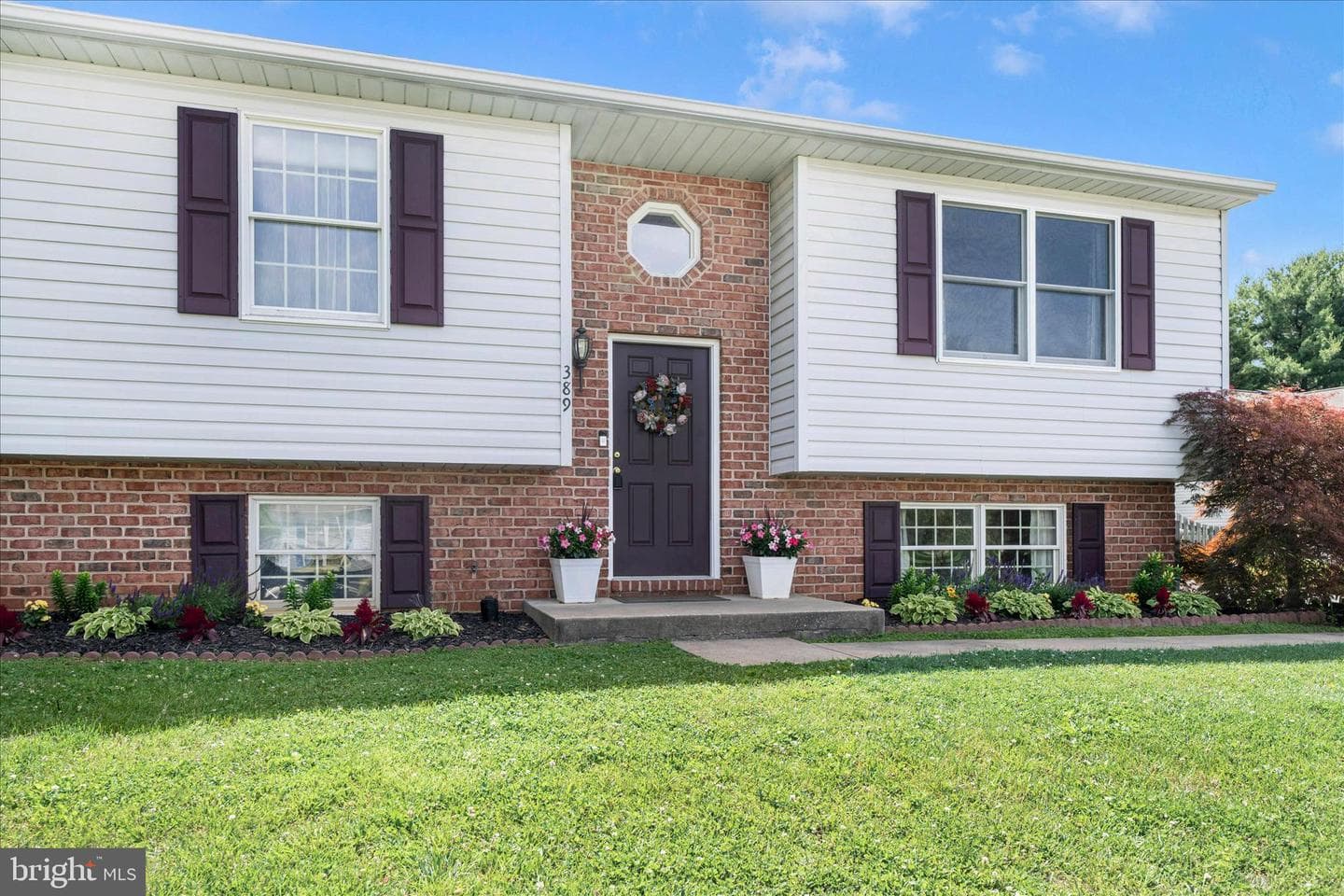 389 Mountain Laurel Court photo 3