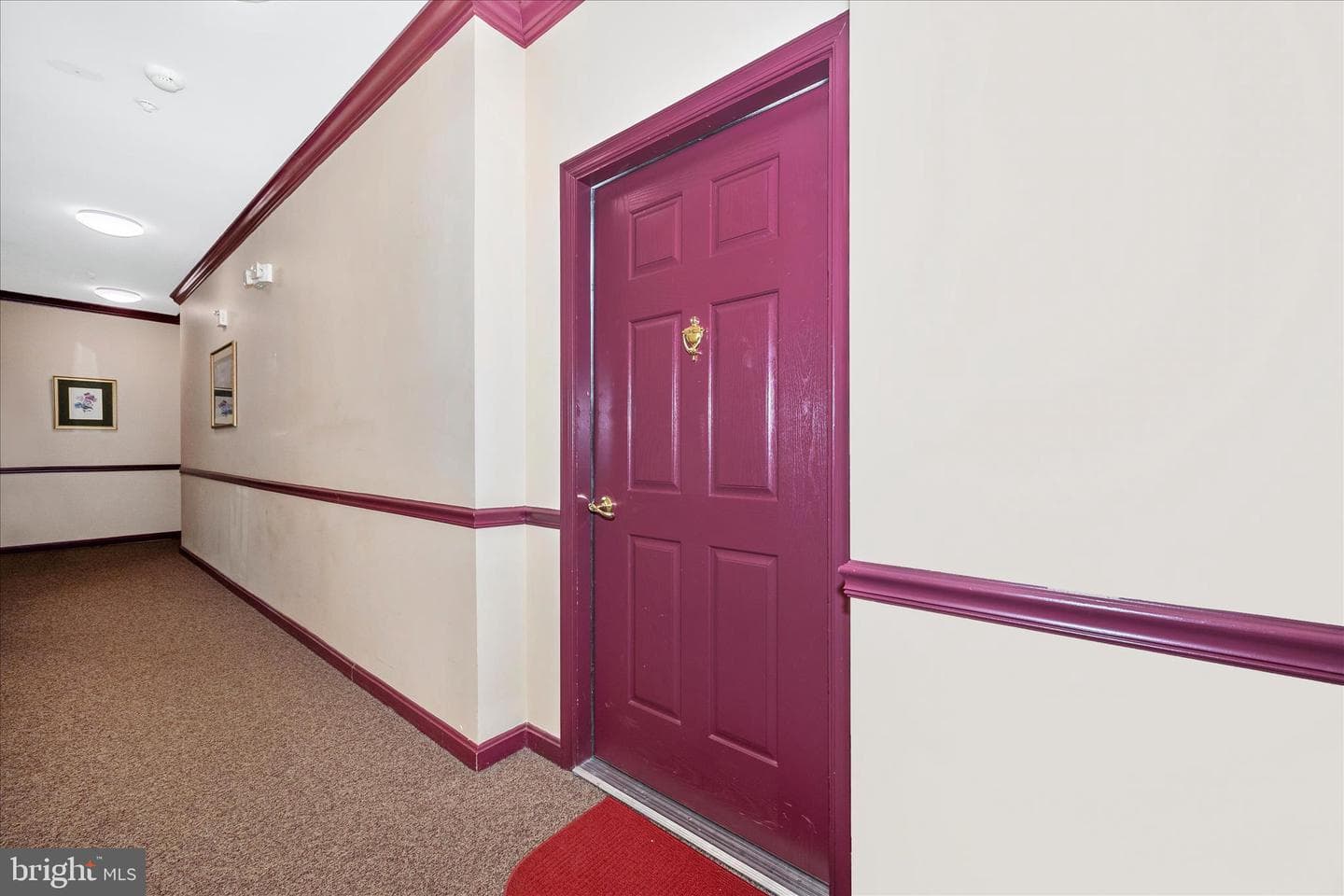 1593 Homeland Drive #3c photo 47