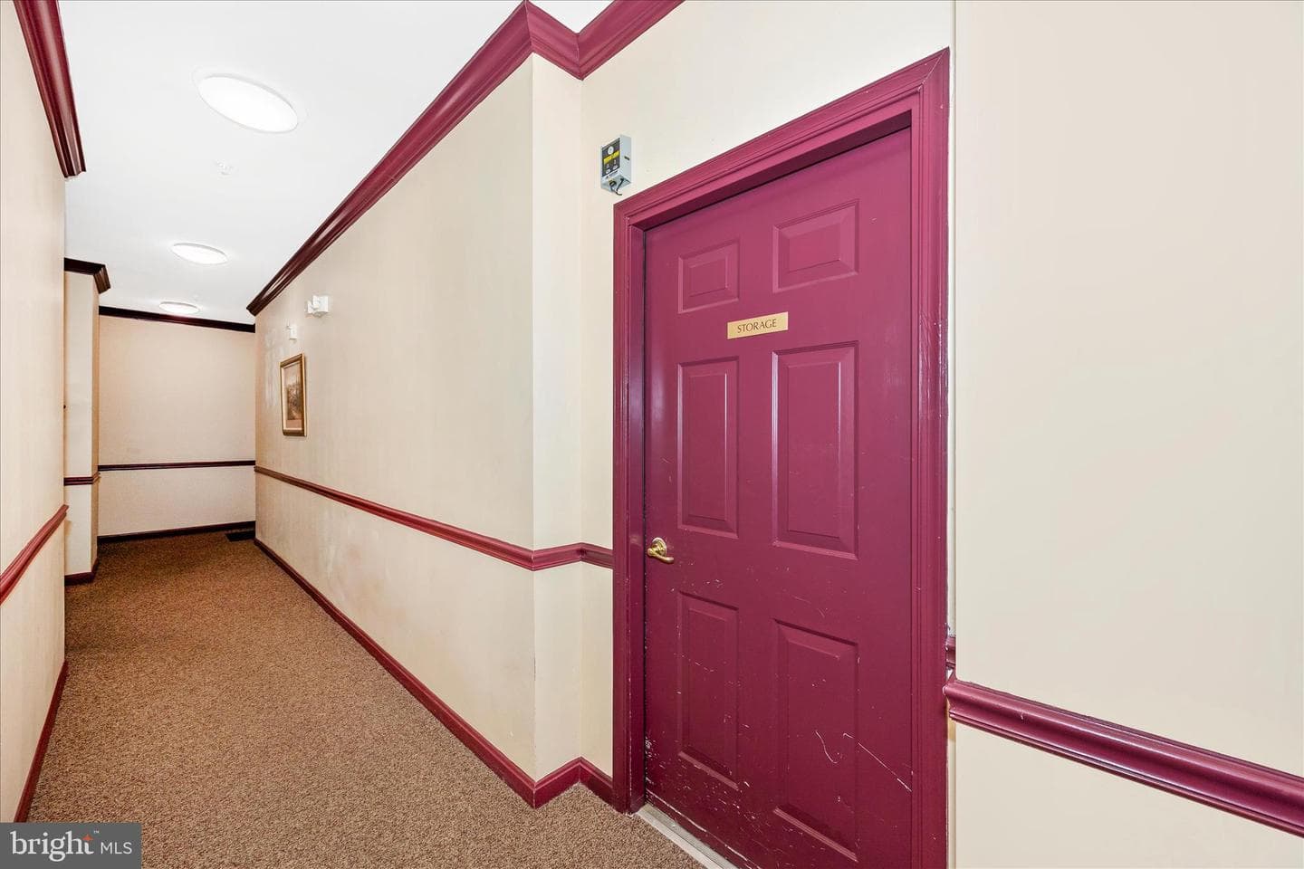 1593 Homeland Drive #3c photo 48