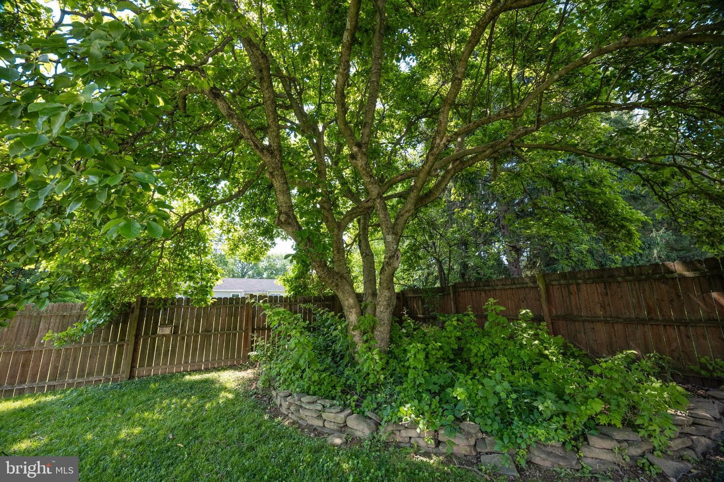 515 Locust photo 20