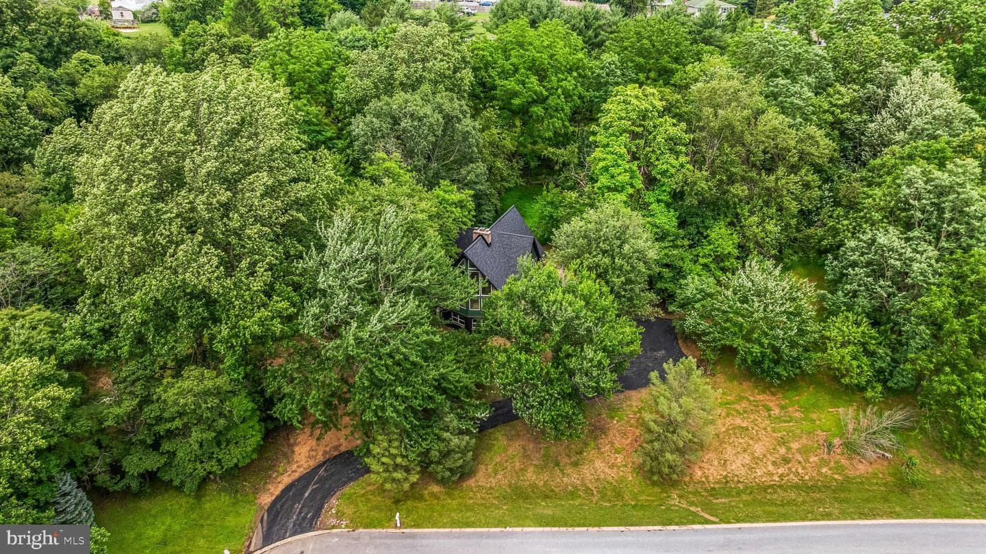 3149 Slippery Elm Ct photo 29