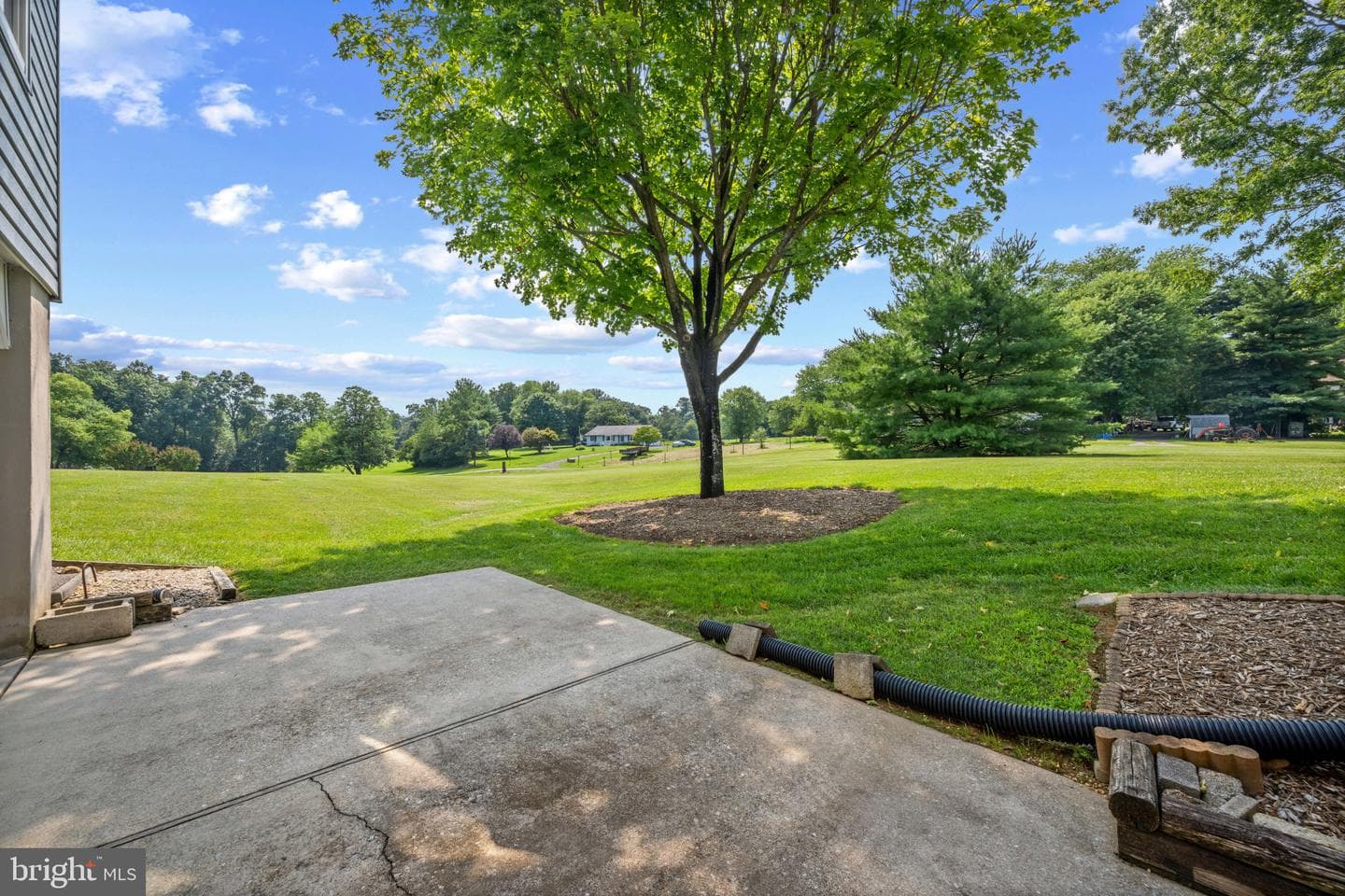 1119 Fannie Dorsey Road photo 44
