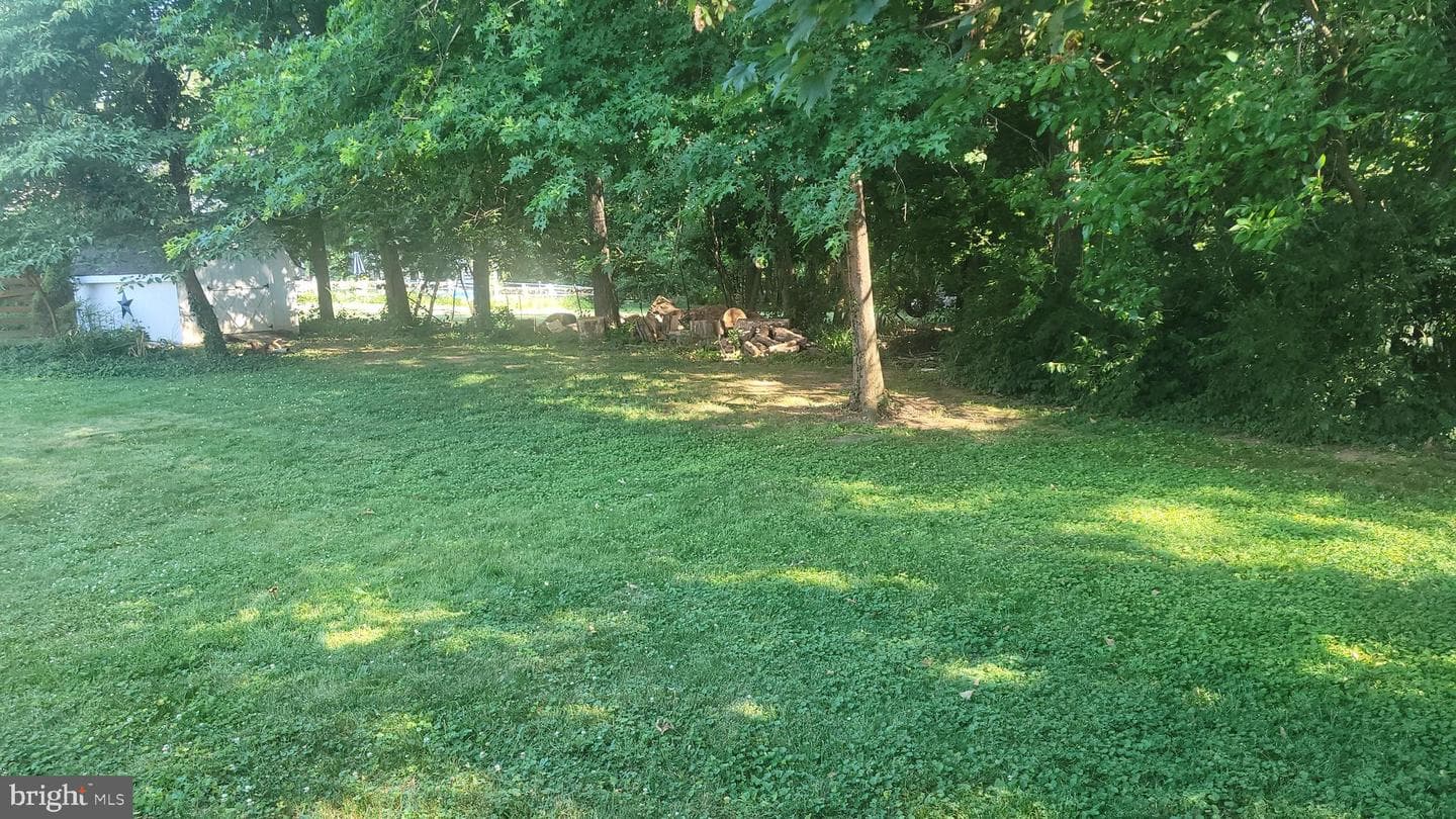 313 Wayne Avenue photo 35