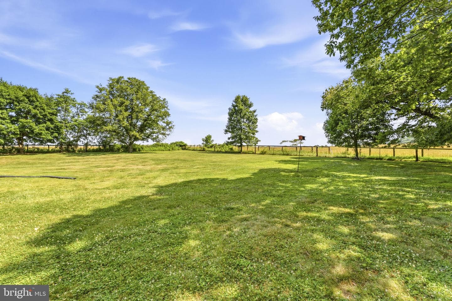 5049 Braddock Road photo 8