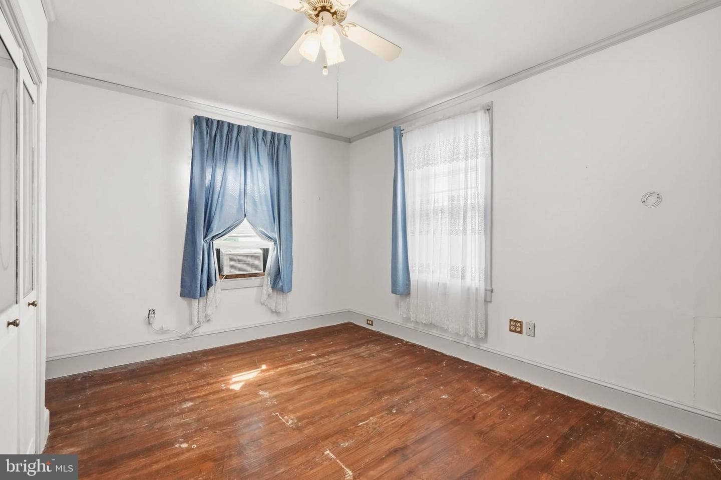 7349 Springfield Avenue photo 21
