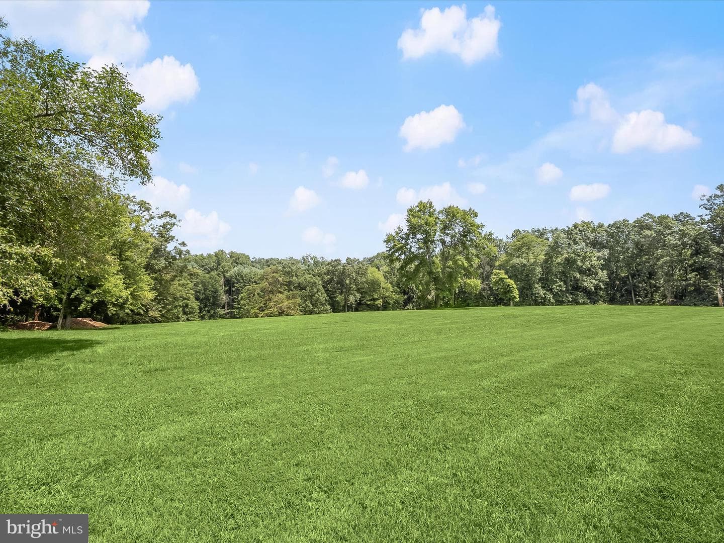 3835 Rinehart Road photo 44