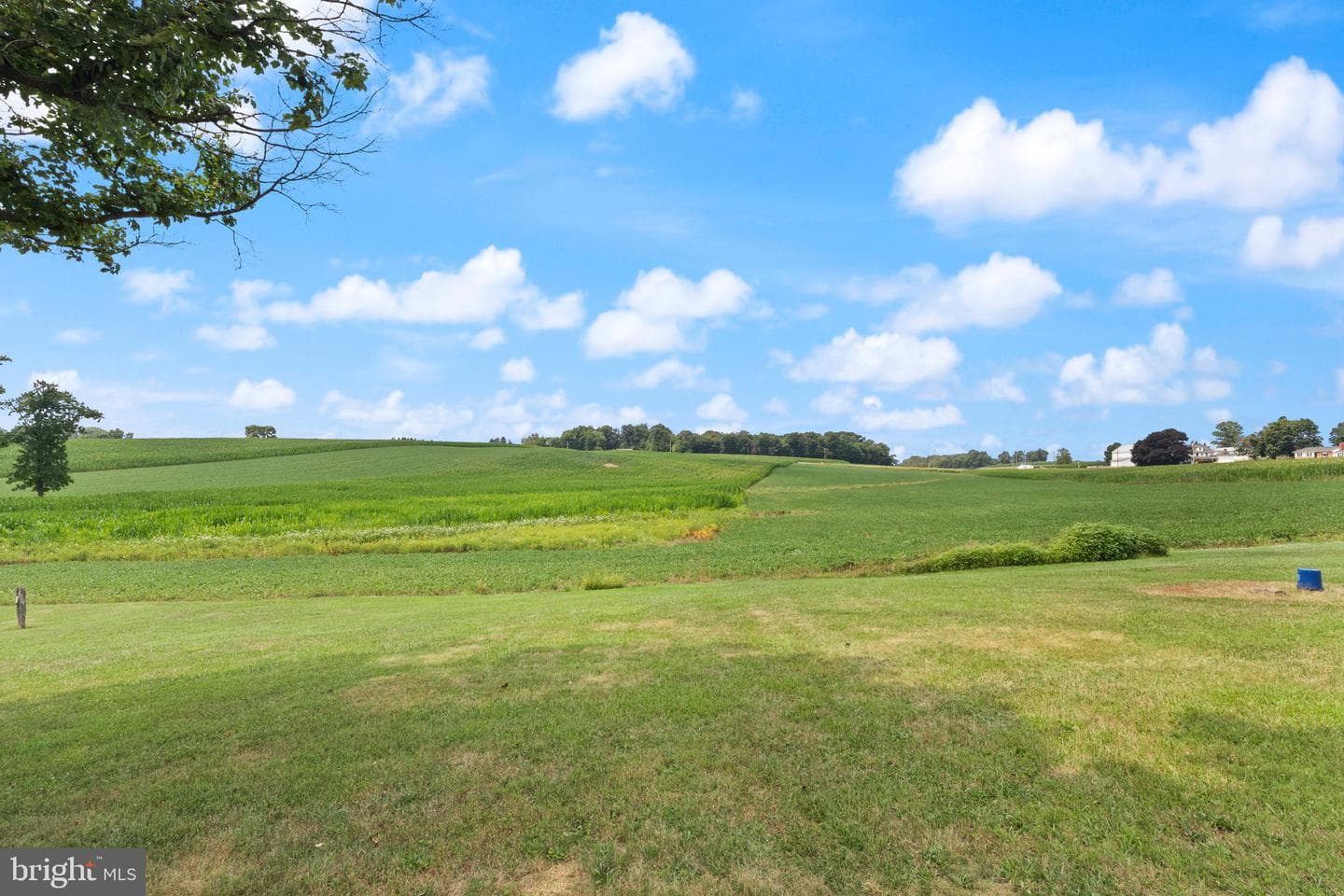 4715 Maple Grove Road photo 3