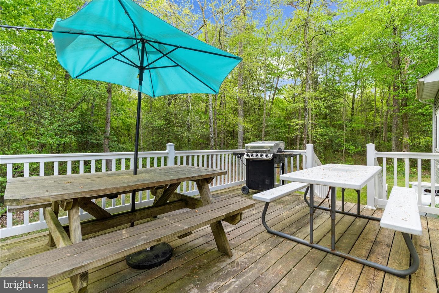 6941 Hubbard Road photo 34