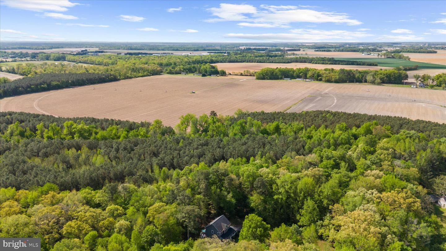 6941 Hubbard Road photo 49