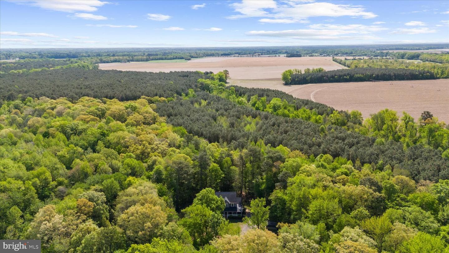 6941 Hubbard Road photo 55