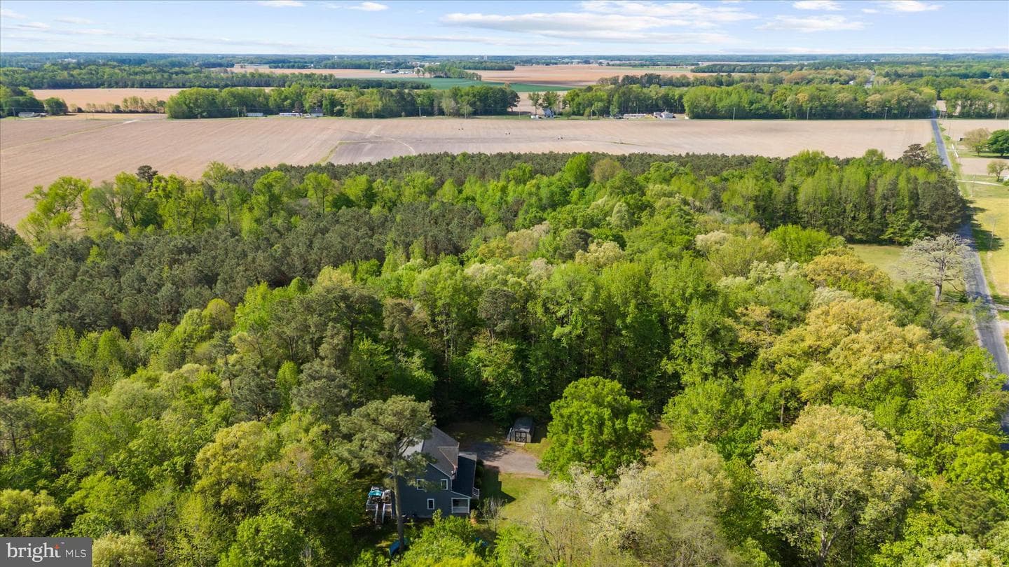 6941 Hubbard Road photo 59