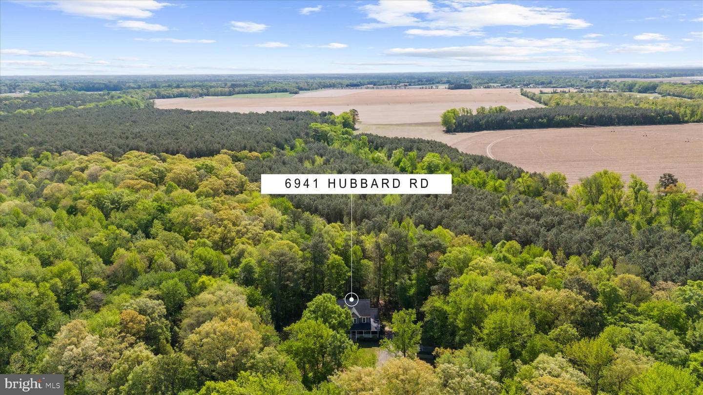 6941 Hubbard Road photo 61