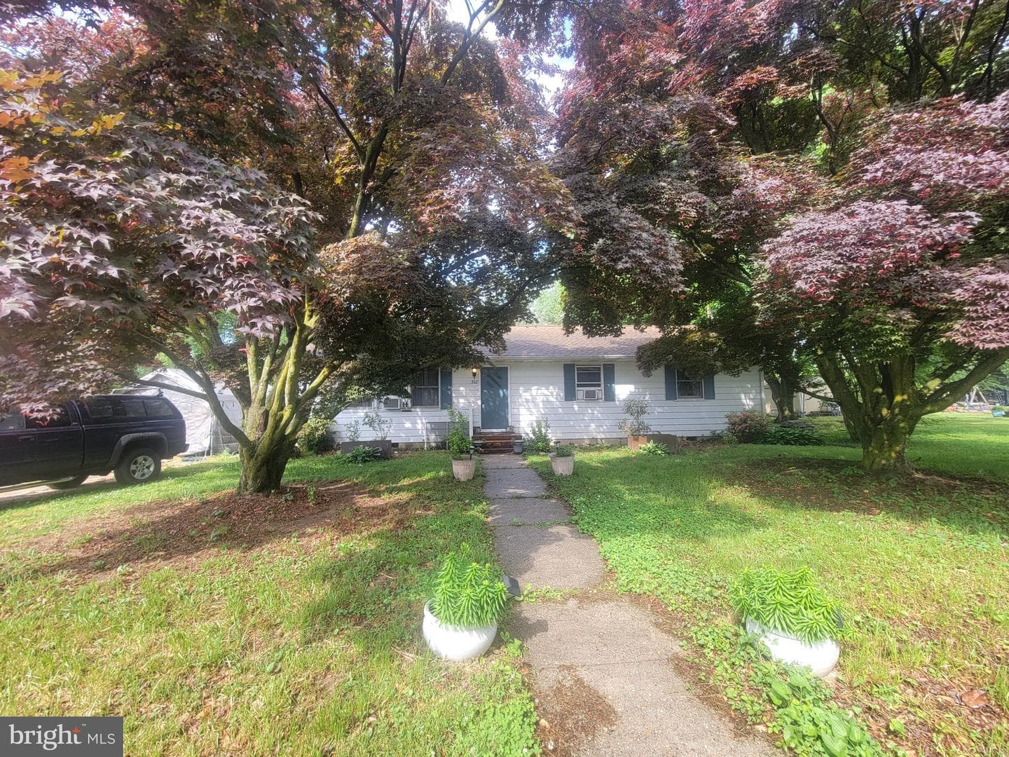 302 Noble Street photo 3