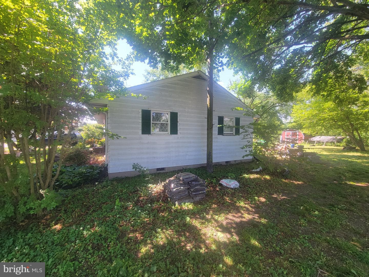 302 Noble Street photo 6