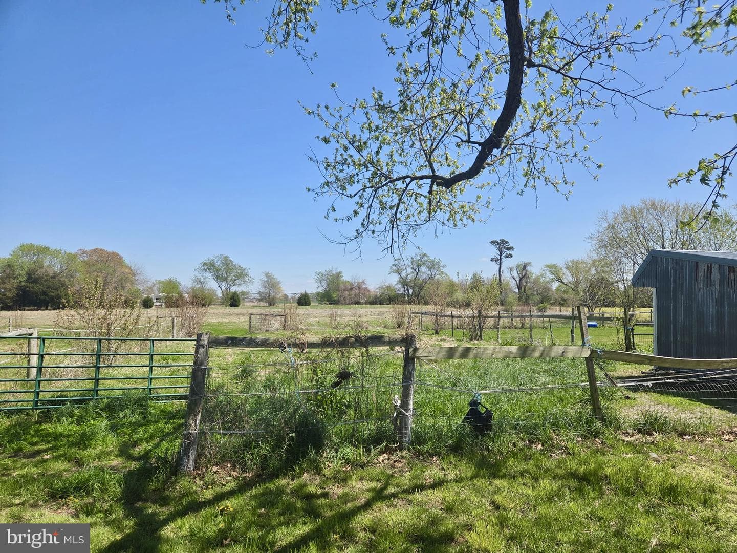 5125 Rhodesdale Vienna Rd photo 32
