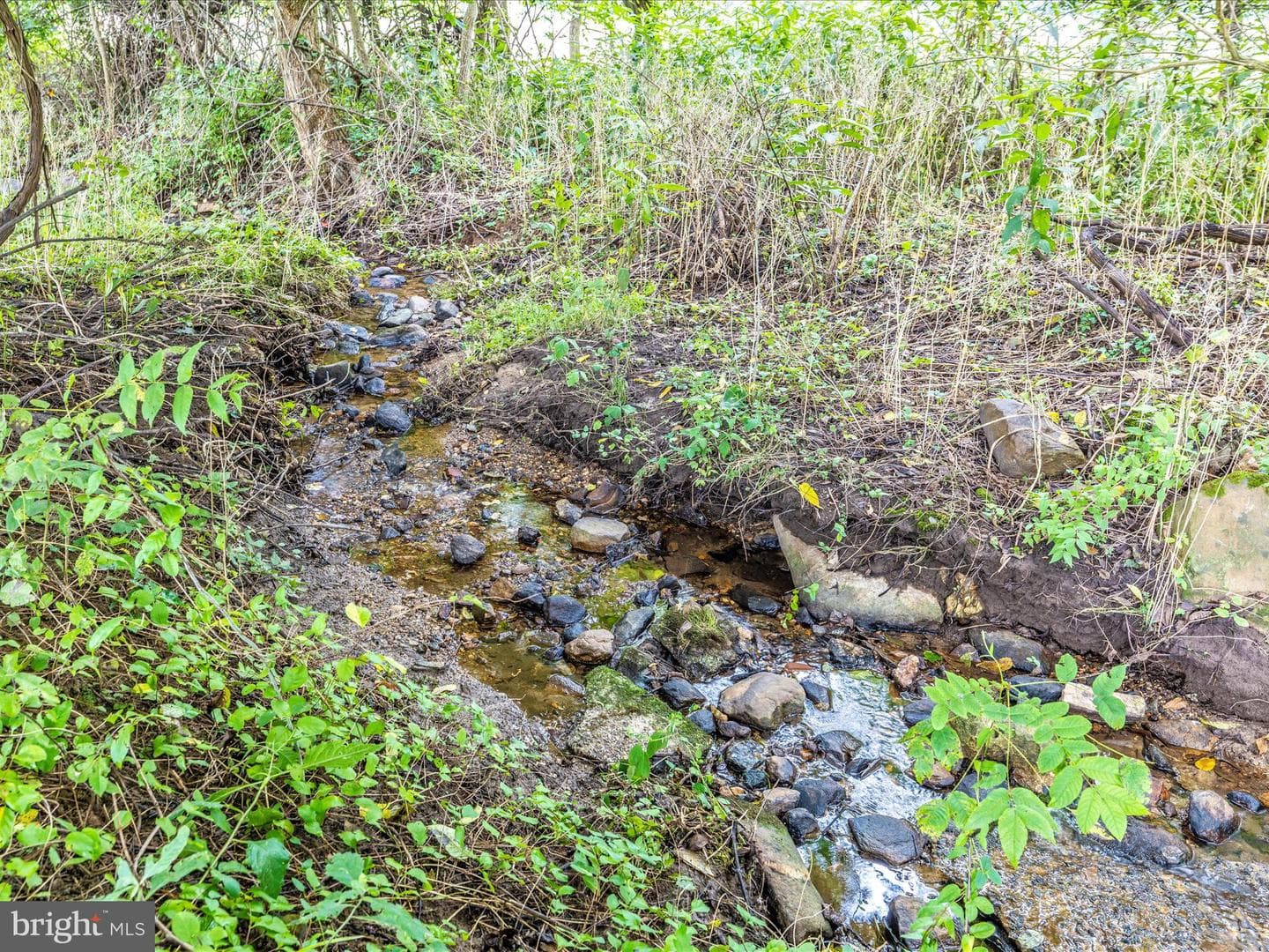 12261 Baugher Road photo 61
