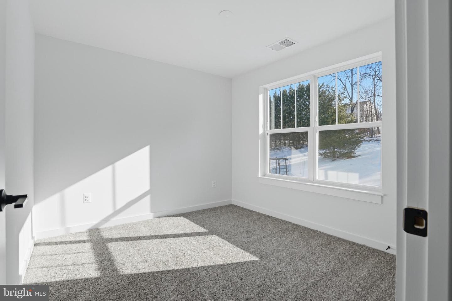 26 Walnut Street photo 33