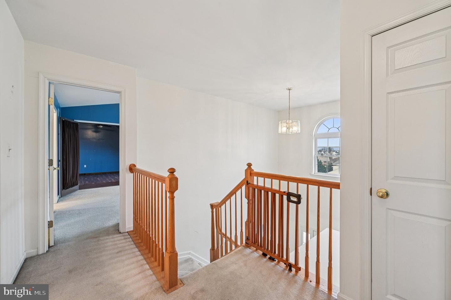 8908 Broad Branch Court photo 39