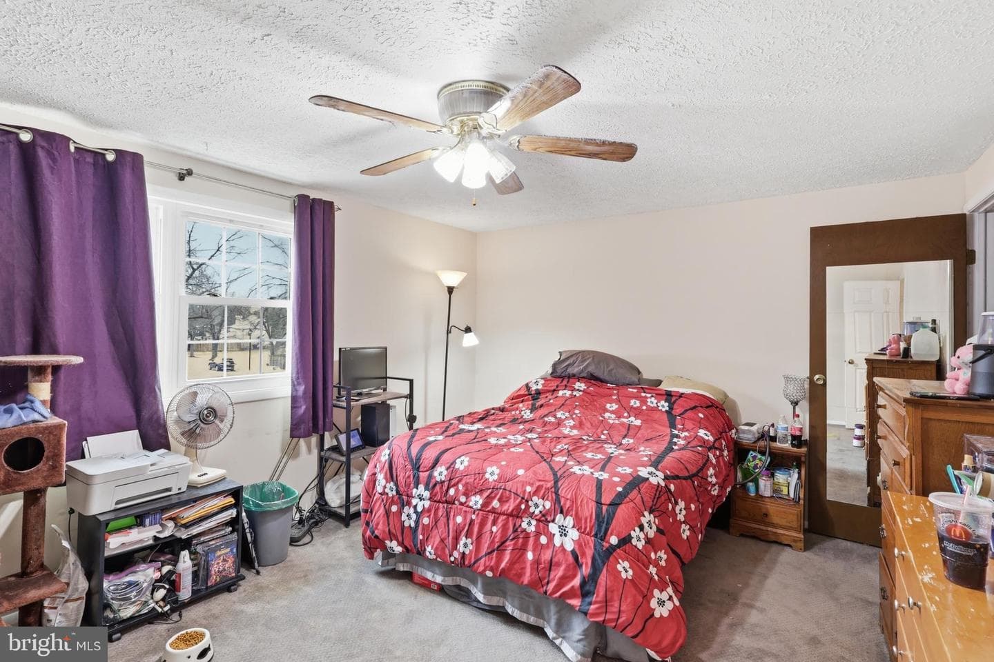 100 Saratoga Place photo 20