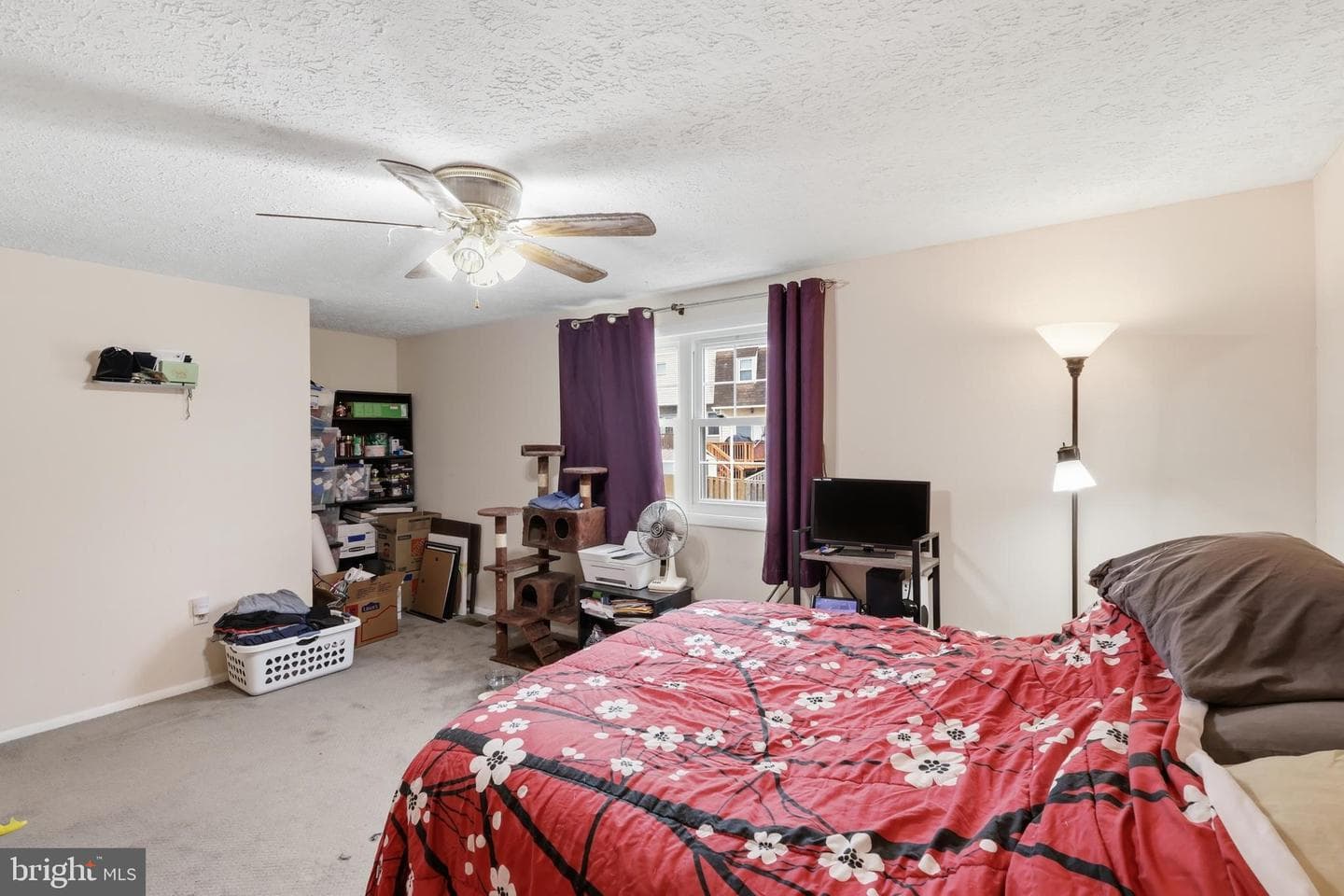 100 Saratoga Place photo 22