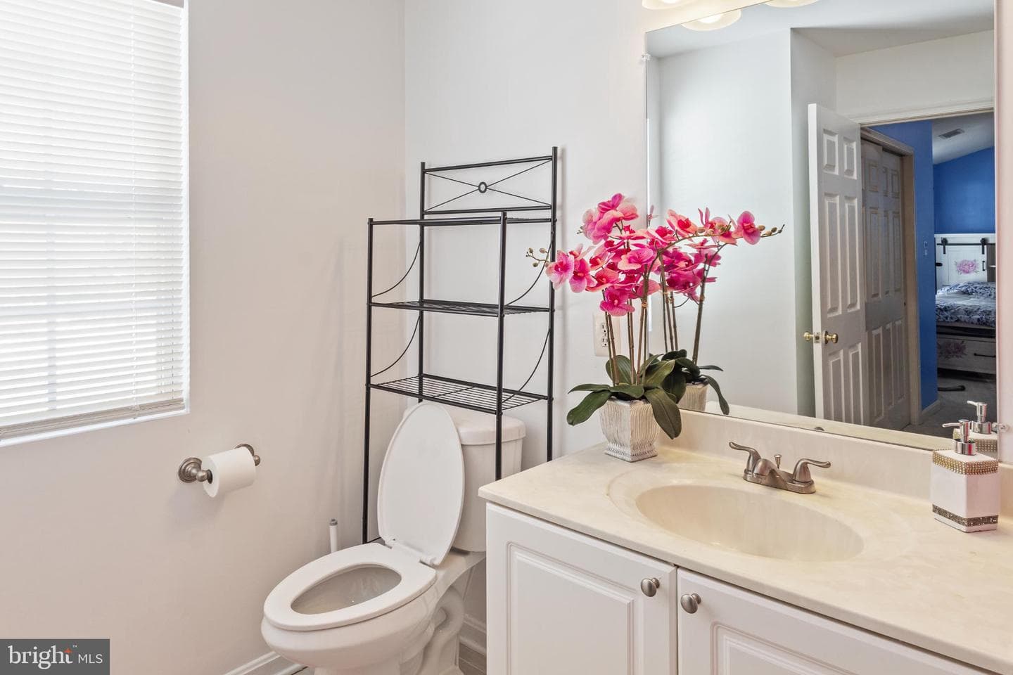 201 Shannonbrook Lane photo 30
