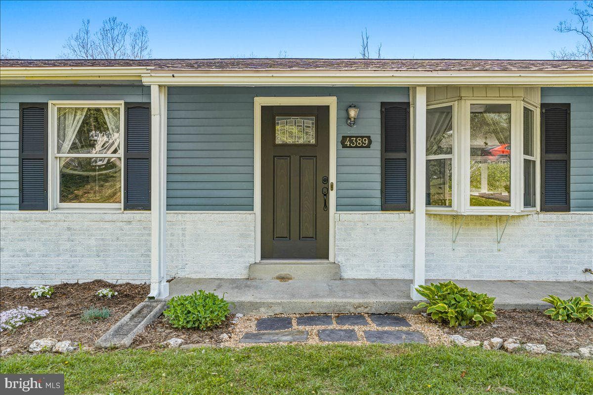 4389 Moleton Drive photo 12