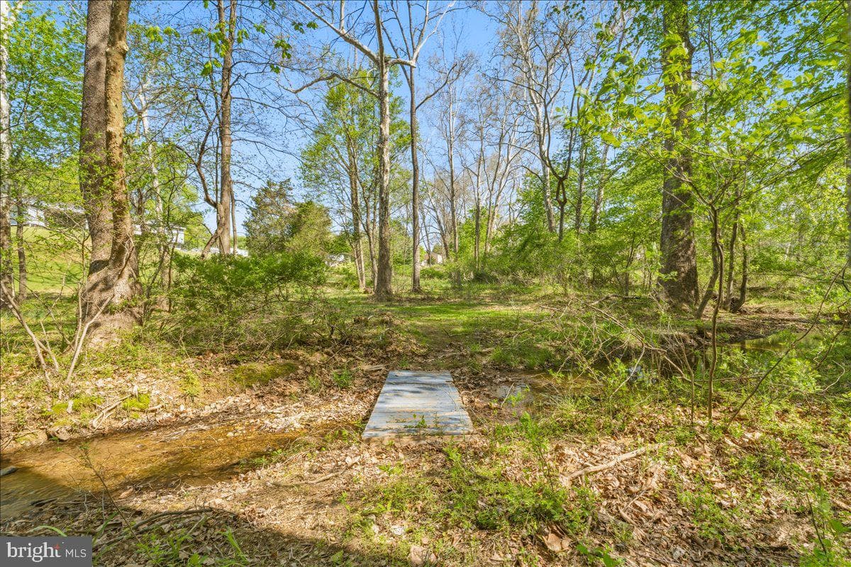 4389 Moleton Drive photo 56