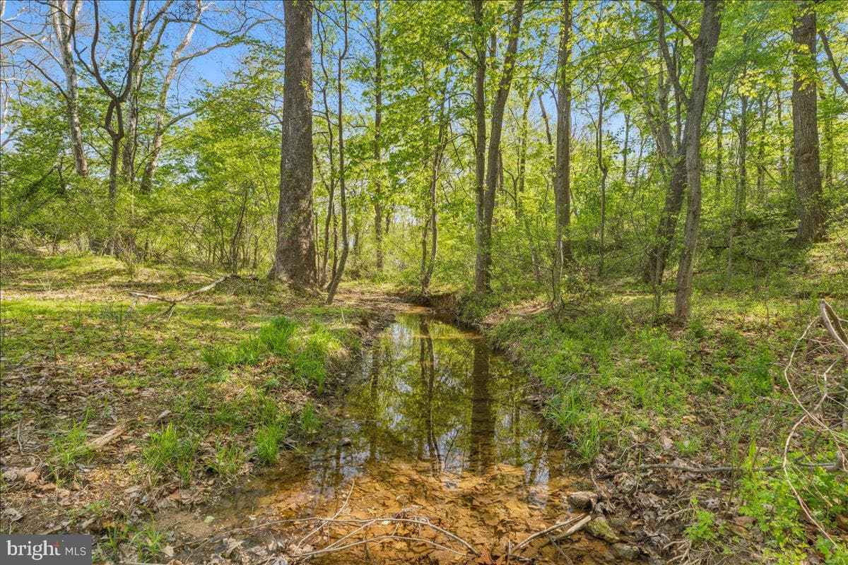 4389 Moleton Drive photo 57
