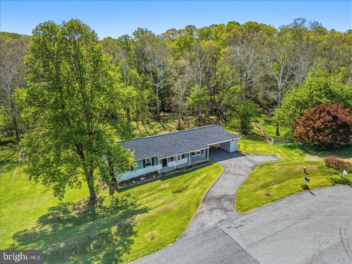 4389 Moleton Drive photo 59