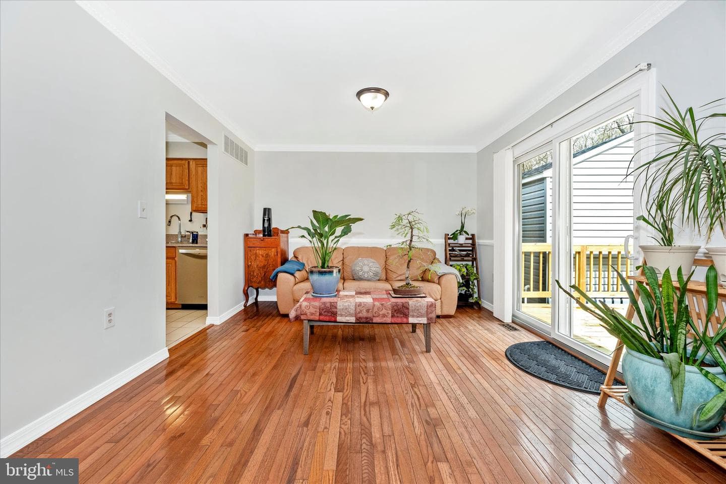 5519 Cindy Court photo 10