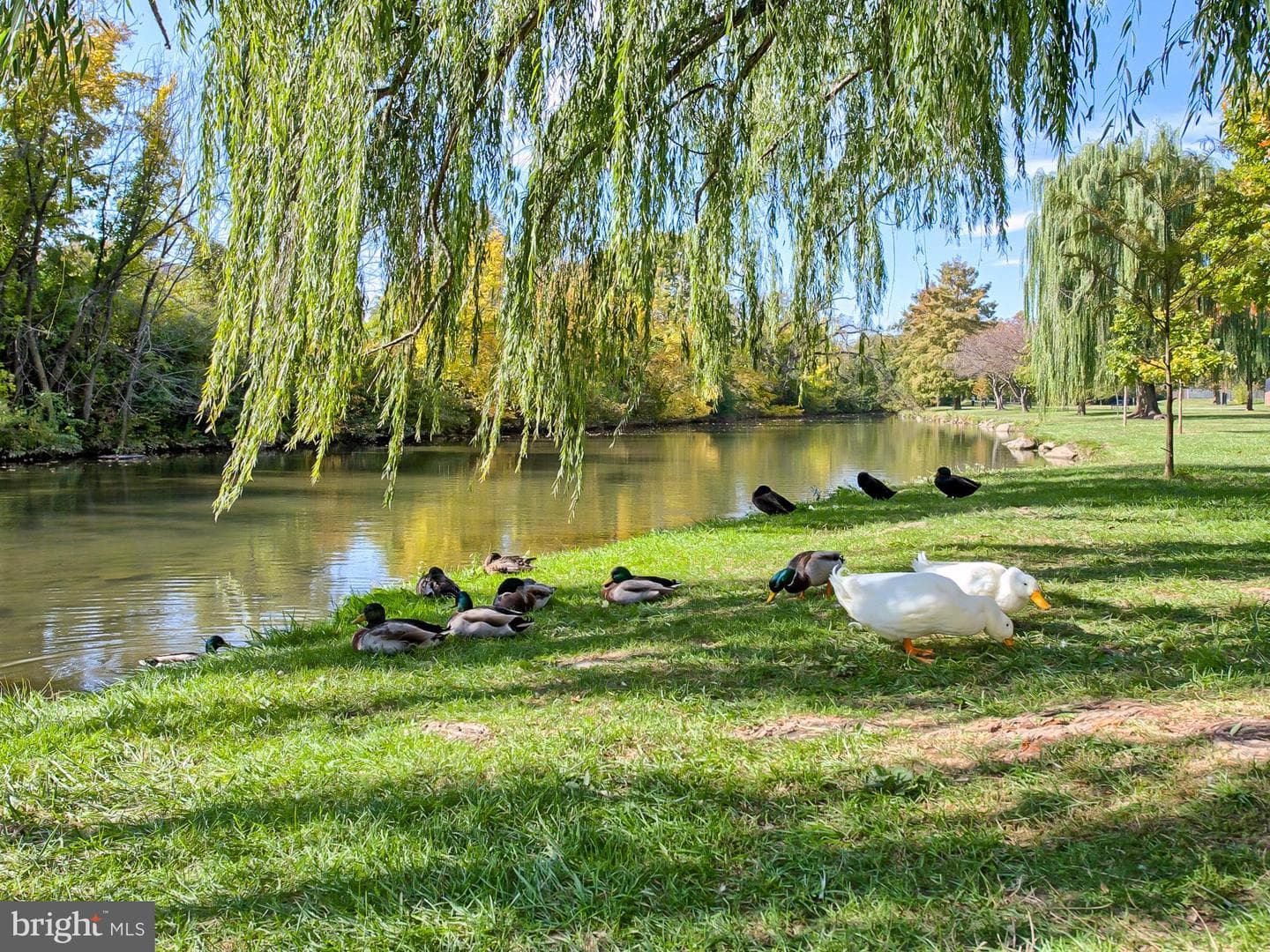 13 2nd photo 40
