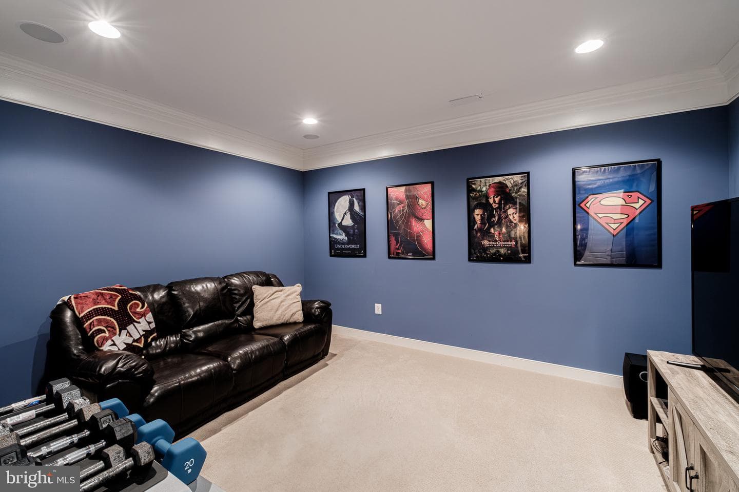 3830 Braveheart Drive photo 54