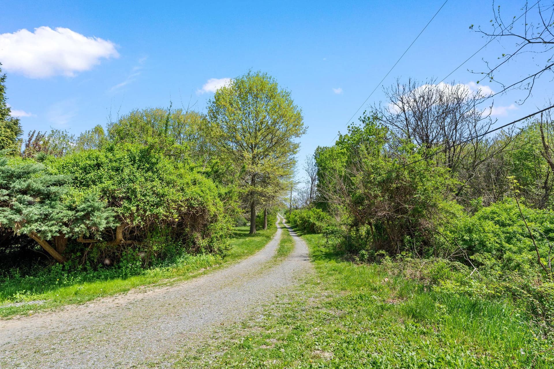5002 Burkittsville Road photo 35