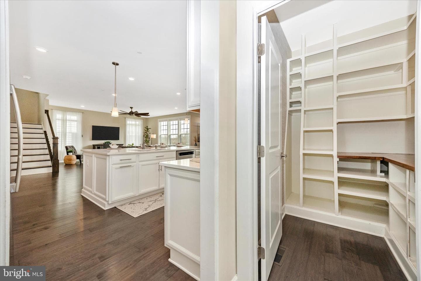 6035 Fallfish photo 20