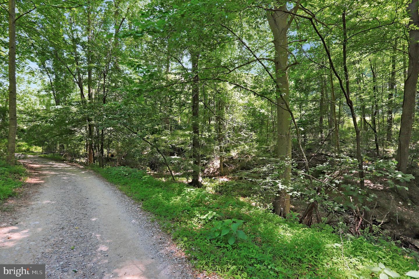 10138 Stonecat Mews photo 63