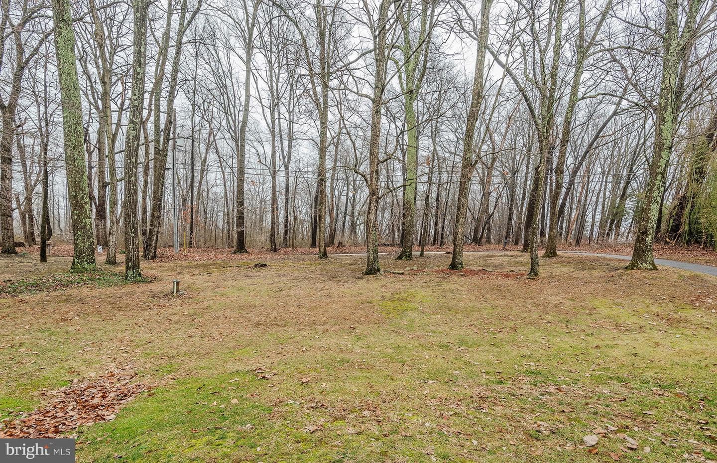 3895 Buffalo Road photo 3