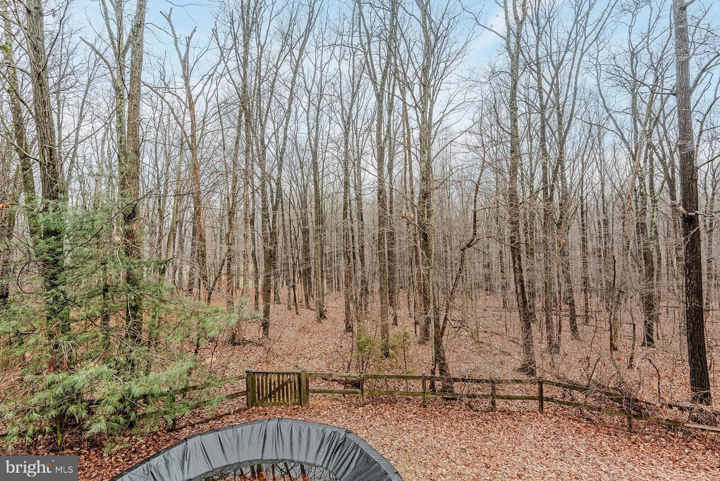 3895 Buffalo Road photo 41