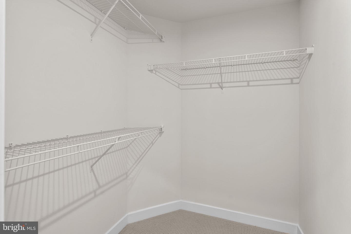 3520 Starlight Street #302 photo 20