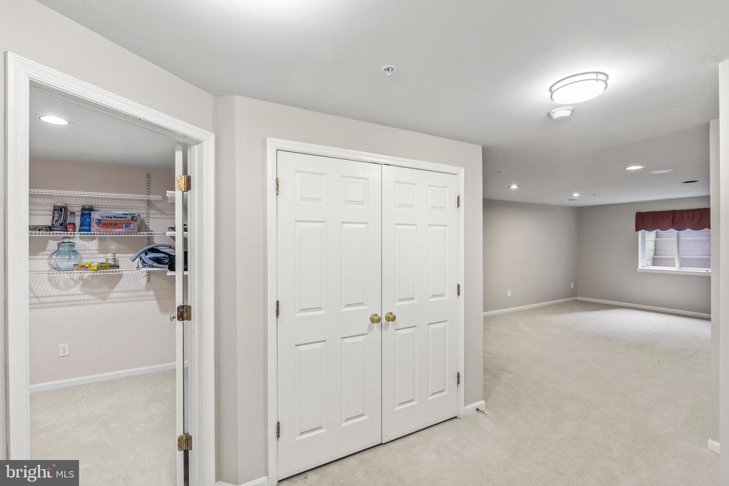 3838 Carriage Hill Drive photo 52