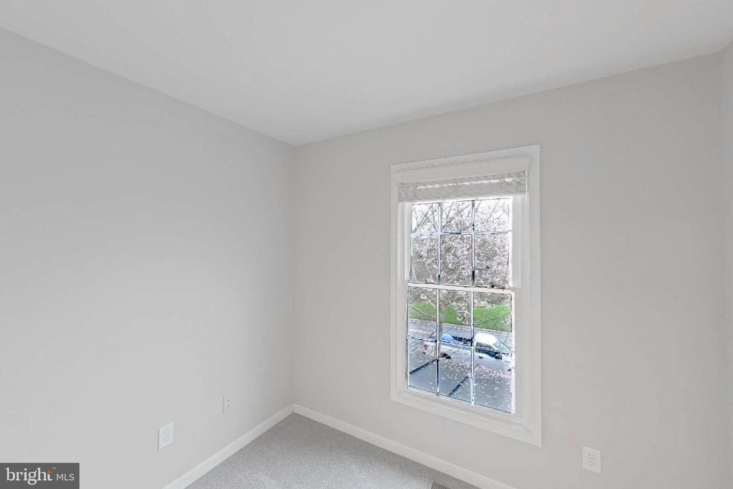 3838 Carriage Hill Drive photo 54