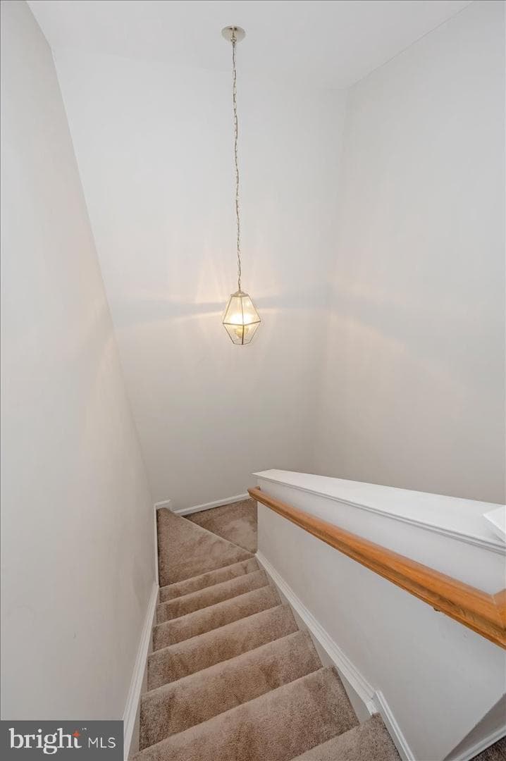 4946 Whitney Terrace photo 18