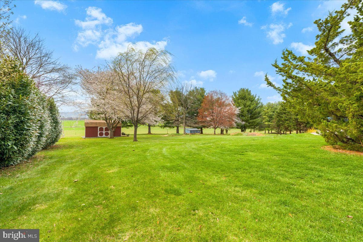 6114 Elaine Drive photo 49