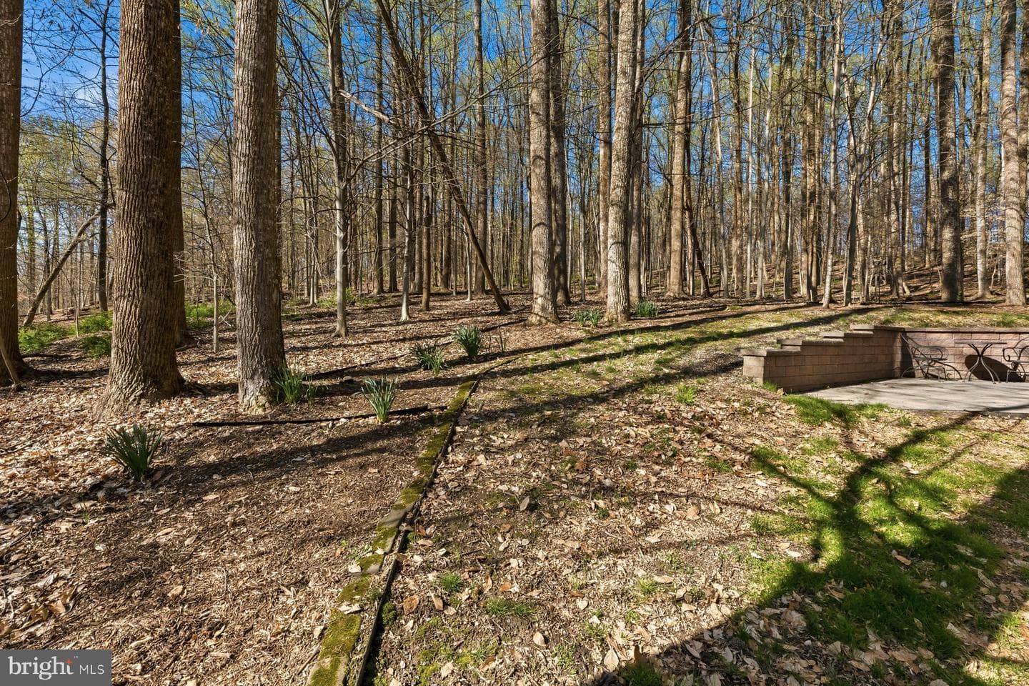 6806 Forest Park Court photo 37