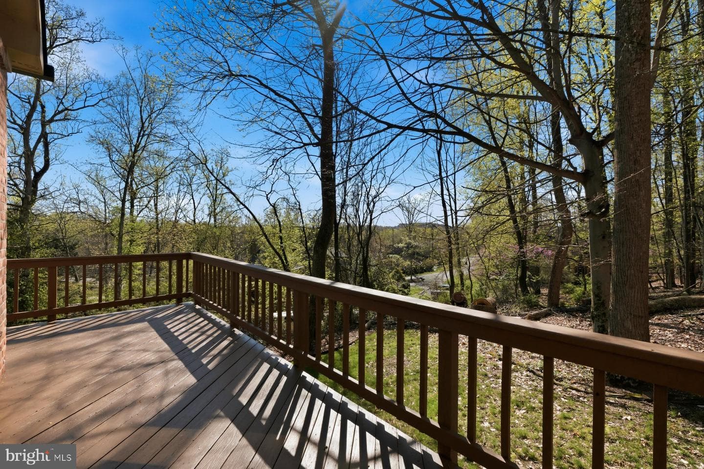 6806 Forest Park Court photo 5