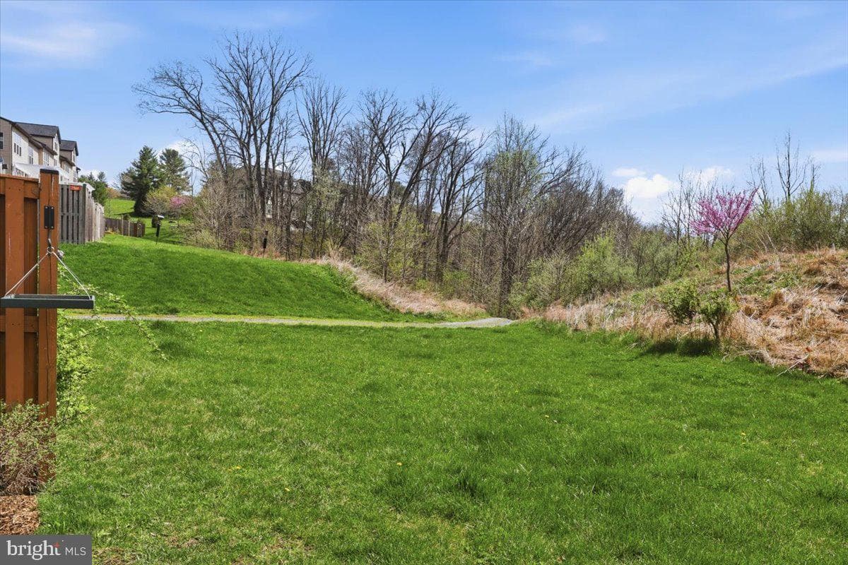 10909 Divot Court photo 55