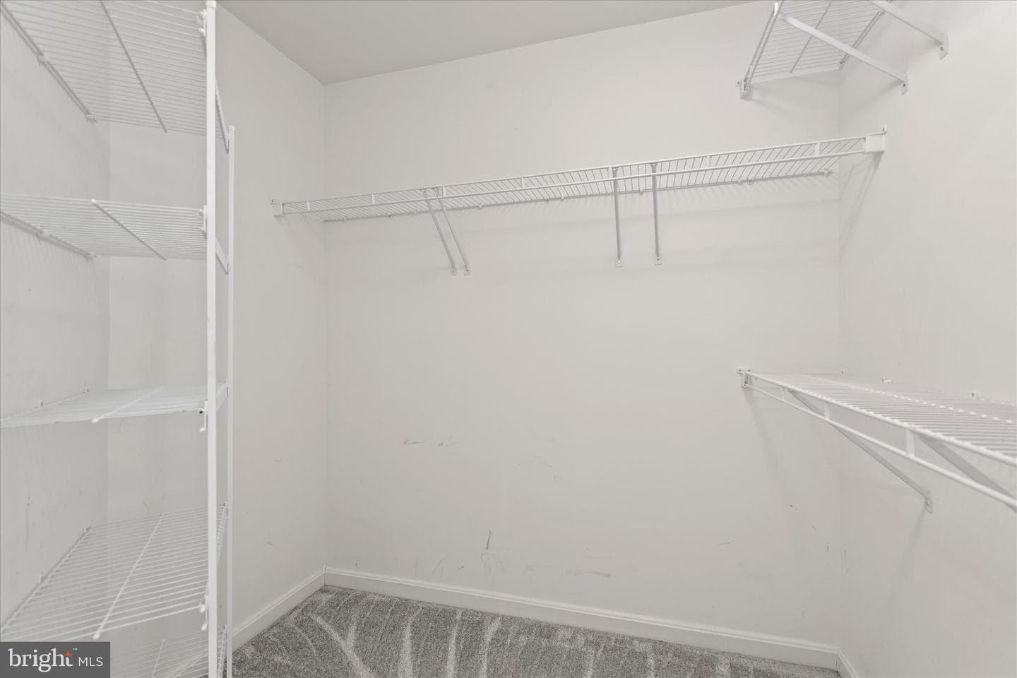 2504 Shelley Cir # 4-2D photo 24